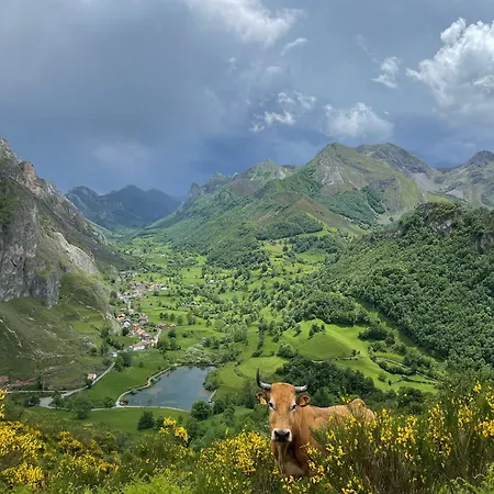 Rurales La Laguna Somiedo * Valle de Lago